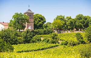 Kirche Herxheim am Berg